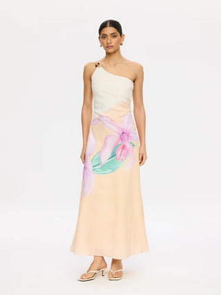 Teresa Maxi Dress in Pink