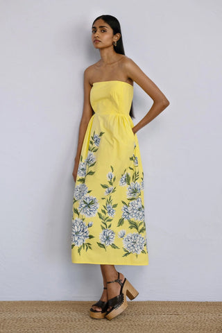 Simona Dress in Killara Border Quince