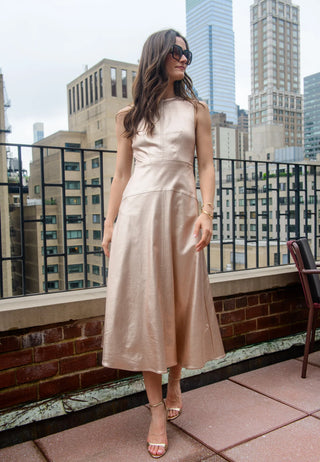 Claire Dress in Metallic Denim