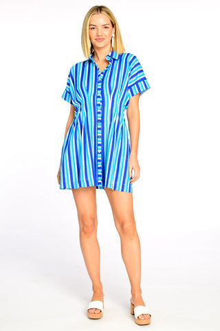 Haynes Mini Dress in French Blue Stripe