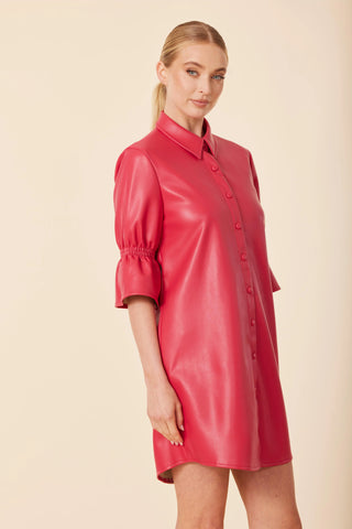 Ruffle Sleeve Dress in Deep Pink